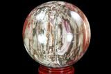 Bargain, Colorful Petrified Wood Sphere - Madagascar #93000-1